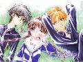 Fruits Basket